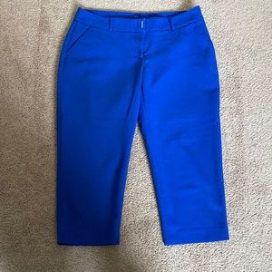 Adorable Blue Dress Capris